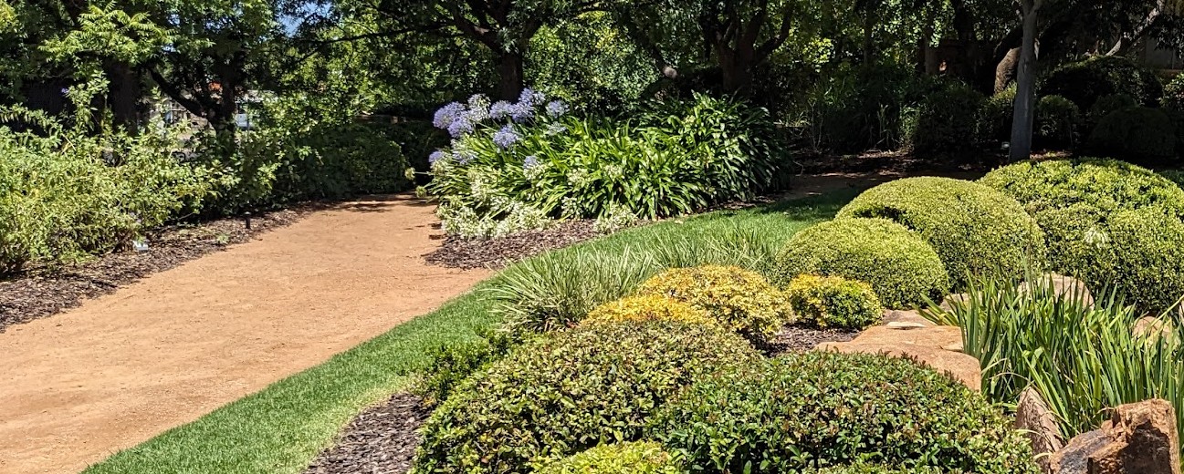 Beautiful garden in Western Sydney